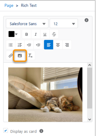 Include Images in Rich Text Fields in the Lightning App Builder